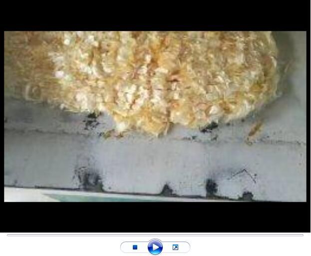 點擊查看詳細信息<br>標題：聚丙烯腈纖維生產中【視頻】 閱讀次數：2784