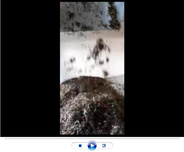 點擊查看詳細信息<br>標題：玄武巖纖維生產中【視頻】 閱讀次數：2700